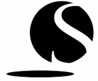 S logo