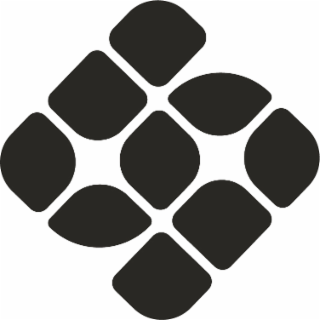 S logo