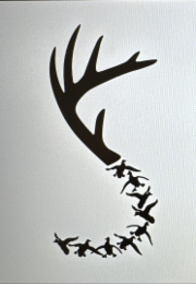 S logo