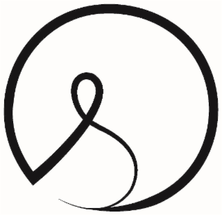 S logo