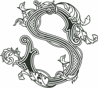 S logo