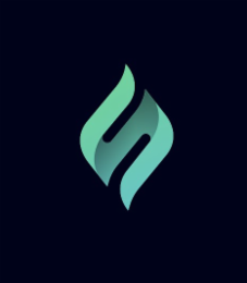 S logo