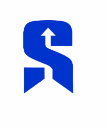 S logo