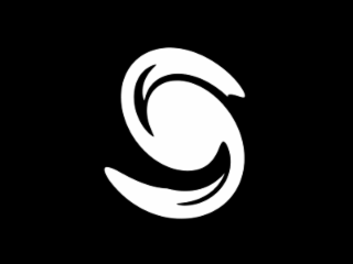 S logo