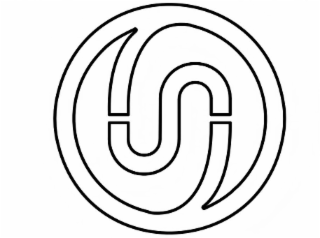 S logo
