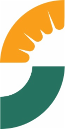 S logo