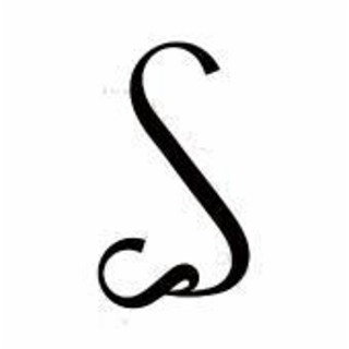 S logo