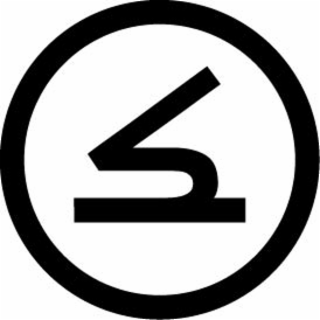 S logo