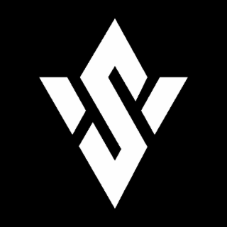 S logo