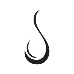 S logo