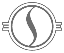 S logo