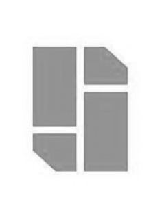 S logo