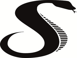 S logo