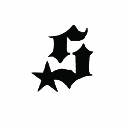 S logo