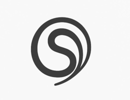 S logo