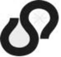 S logo