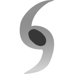 S logo