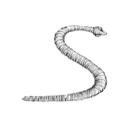 S logo