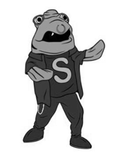 S logo