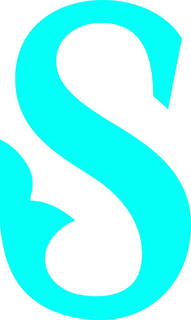 S logo