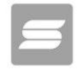S logo