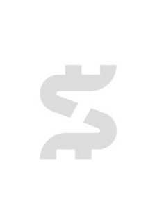 S logo