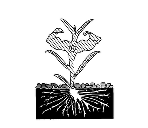 S-A logo