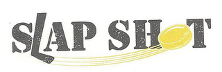 S AP SH T logo