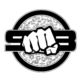 S B logo