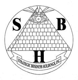S B H STRATEGIC BUSINESS HOLDINGS, INC. logo