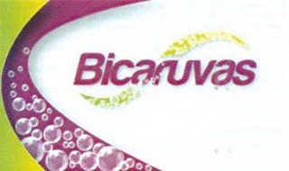 S BICARUVAS logo