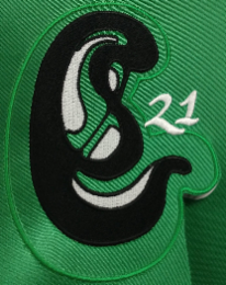 S C 21 logo