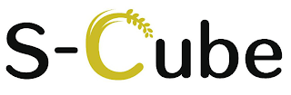 S-CUBE logo