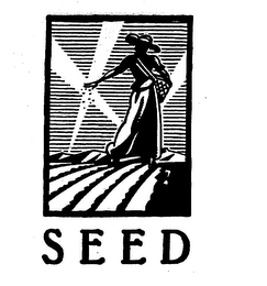 S E E D logo