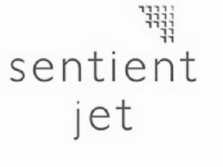 S E N T I E N T J E T logo