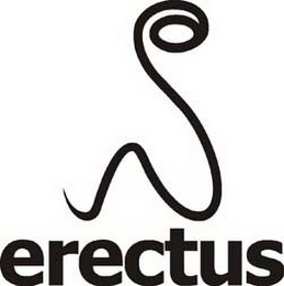 S ERECTUS logo