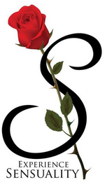 S EXPERIENCE SENSUALITY logo