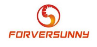 S FORVERSUNNY logo