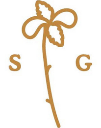 S G logo