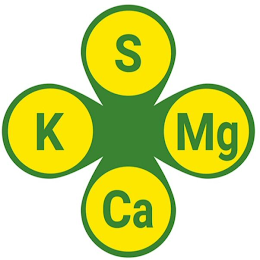 S K MG CA logo