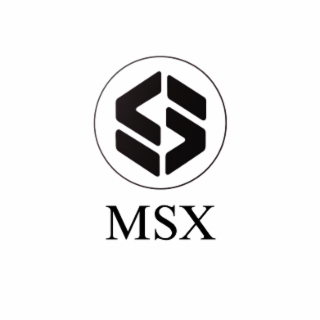 S MSX logo