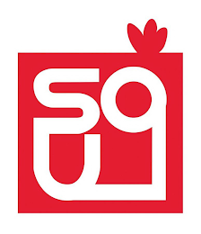 S O U L logo