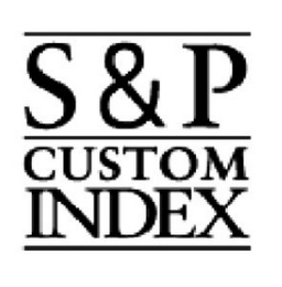 S & P CUSTOM INDEX logo