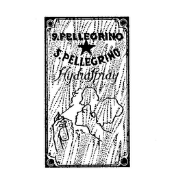 S. PELLEGRINO S. PELLEGRINO HYDRA SPRAY logo