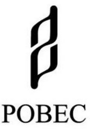 S POBEC logo