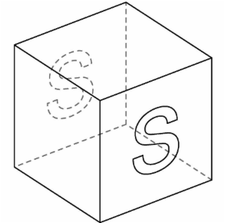 S S logo