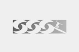 S S S logo