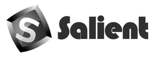 S SALIENT logo