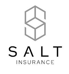 S SALT INSURANCE logo