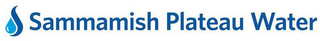 S SAMMAMISH PLATEAU WATER logo